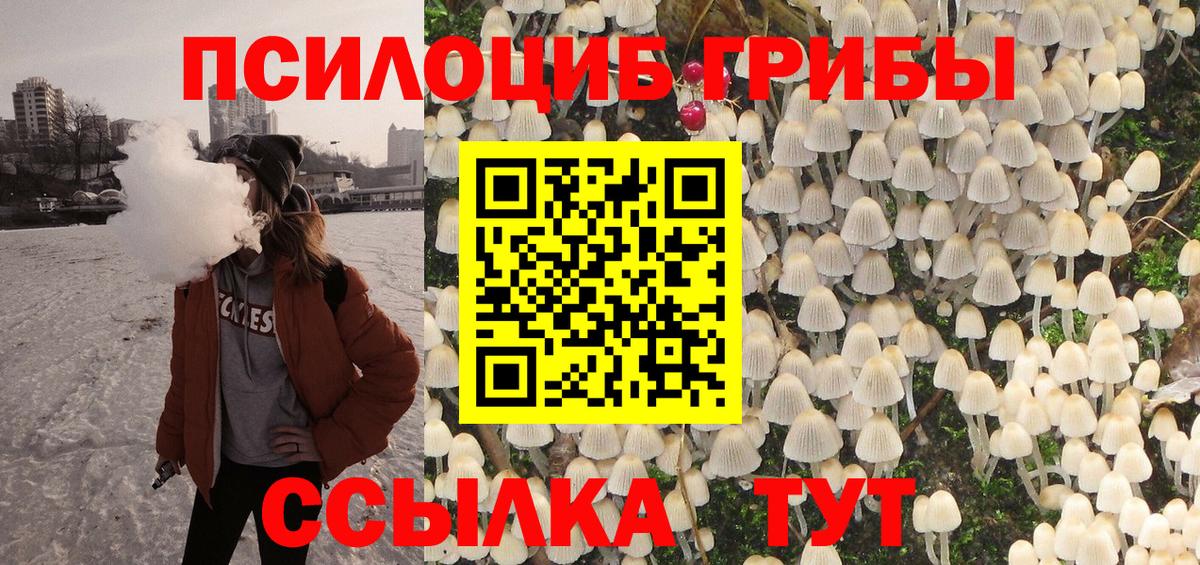 Кострома  где купить   Вход с VPN  Псилоцибиновые грибы MAGIC MUSHROOMS  Галлюциногенные грибы GOLDEN TEACHER 